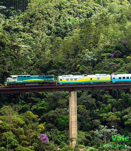 Trem de passageiros Vitória a Minas