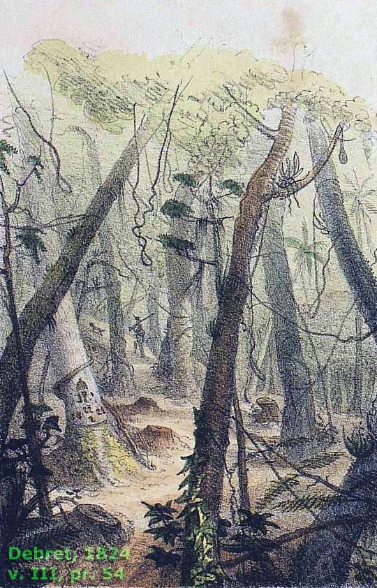 Clareira aberta na floresta, perto do alto do Corcovado, por orientação de Pedro I, segundo Debret