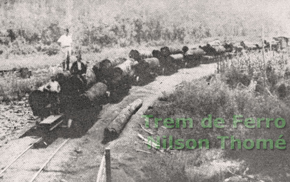 Trem de vagões madeireiros da Lumber, no trajeto da mata para a serraria