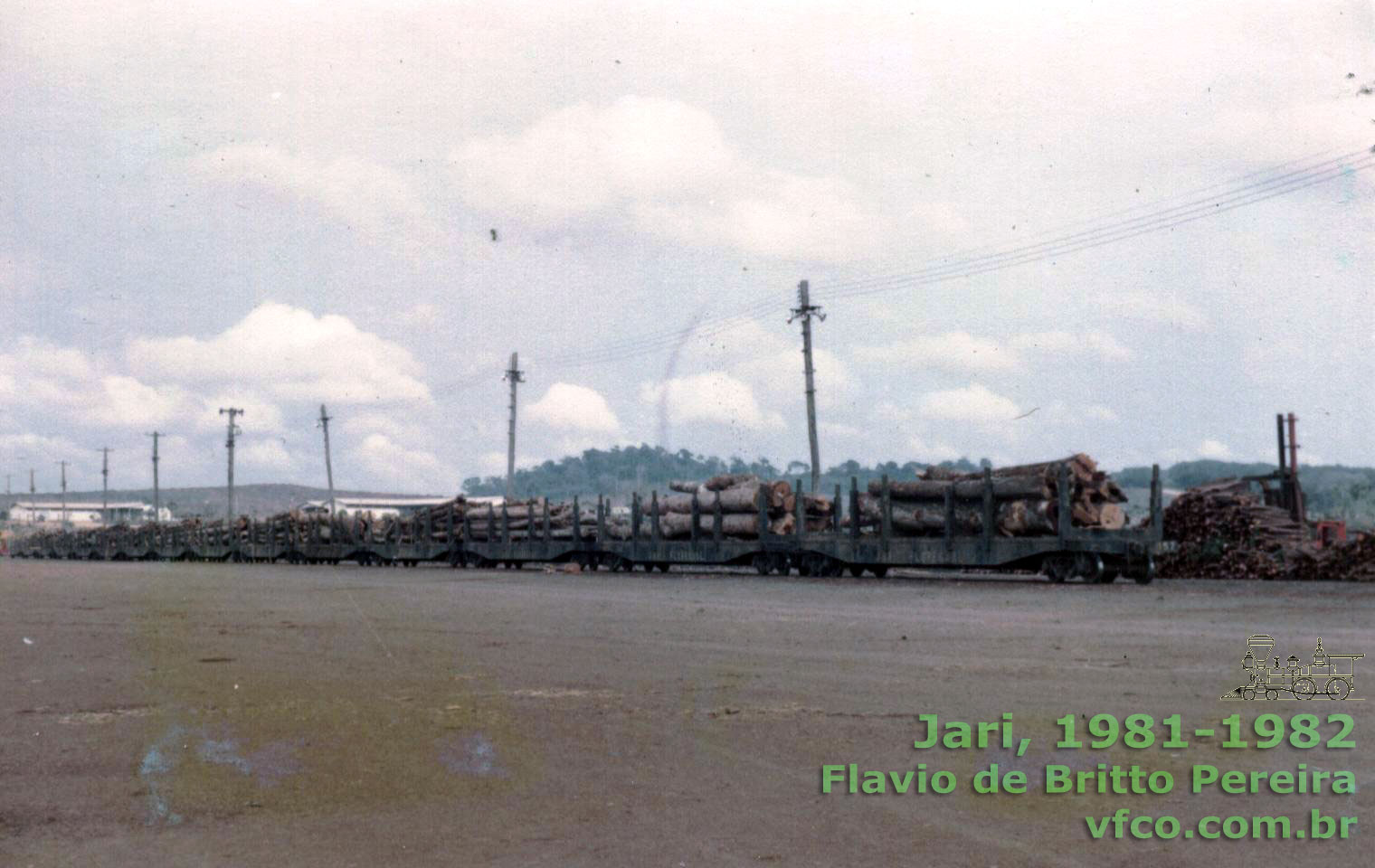 Trem da Estrada de Ferro Jari carregado com madeira nativa no pátio do Pacanarí aguardando locomotiva para conduzi-la à fábrica de celulose