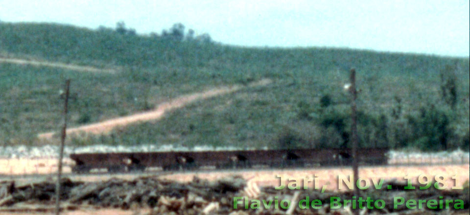 Vagões hopper alugados da Estrada de Ferro Amapá para o transporte de bauxita na Estrada de Ferro Jari
