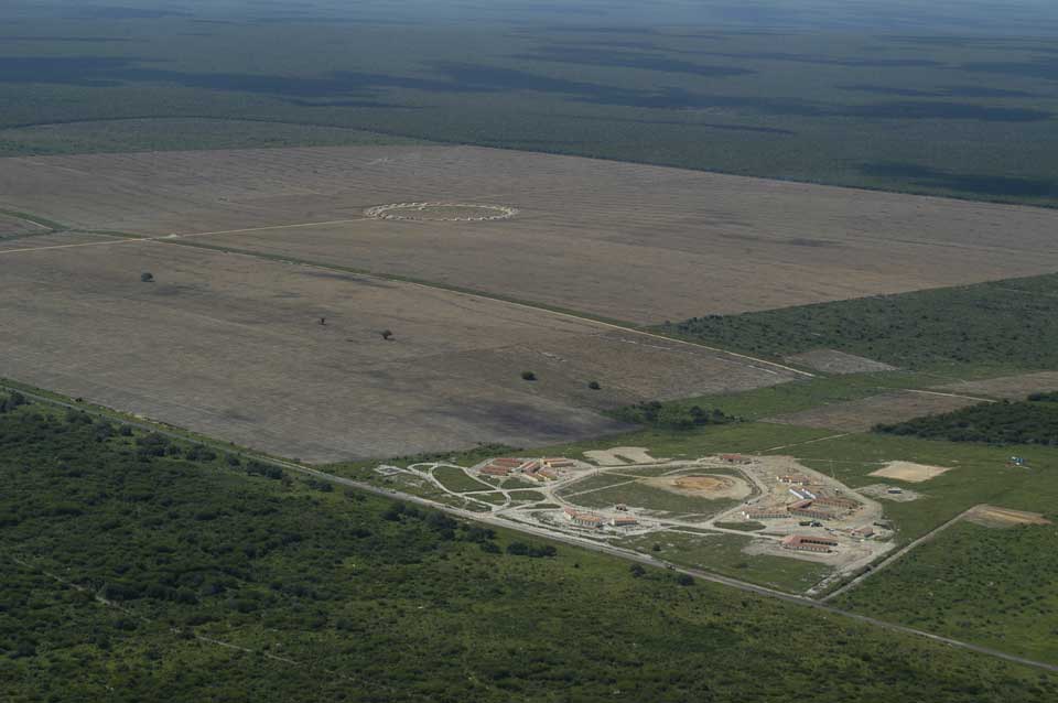 Área de plantio de soja nas proximidades de Eliseu Martins, para escoamento pela ferrovia Transnordestina