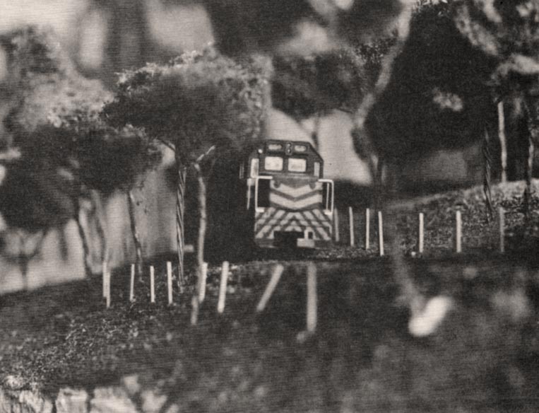 O relevo movimentado faz com que a maquete não seja "plana", embora o trem percorra trilhos totalmente nivelados